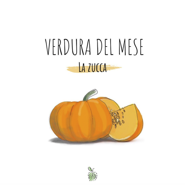 Verdura del mese: la Zucca